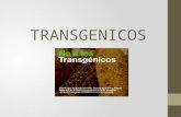 Transgenicos ejecutable