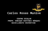 CARLOS ROSAS MUNIVE