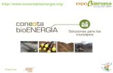 Red de calor urbana con biomasa de la ciudad de Soria