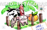 Agro pitagoras-