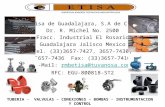 Empresa Etisa De Guadalajara Productos