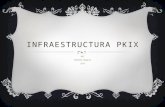 Infraestructura pk ix