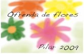 Ofrenda Flores Pilar09