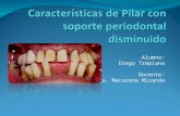Caracterisitcas pilar disminuido periodontalmente