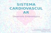Embriología Sistema Cardiovascular