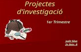 Projectes d’investigació presentació