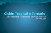 Ciclón tropical e tornado