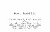 3. homo habilis