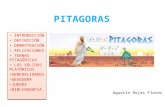 Pitagoras rufi