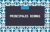 Biomas Naturales