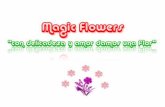 Diapositivas magic flowers
