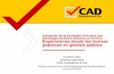 Iniciativas de la Sociedad Civil para una Estrategia de Datos Abiertos en el Perú