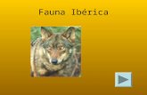 Fauna Ibérica
