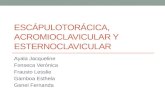 Articulacion escápulotorácica, acromioclavicular y esternoclavicular.