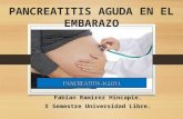 Pancreatitis en el embarazo Fabian