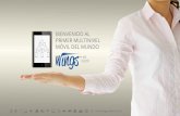 Presentaci³n Wings Networks