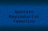 Ap reproductor fem y ovogenesis