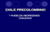 Aborigenes chilenos