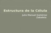 Proyecto Diplomado CPE Julio Manuel Gutierrez