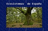 Ecosistemas españoles