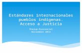 Estándares internacionales pueblos indígenas. Acceso a Justicia / Onajup-Eurosocial