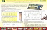 Poster24: Preferencia del uso de la yuca, en base a las correlaciones entre composicion de la raiz, propiedades fisicoquimicas y funcionales del almidon de yuca