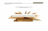 PDV: Lenguaje Guía N°17 [4° Medio] (2012)