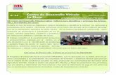 Centro de Desarrollo Viticola La Rioja - Reporte N° 13
