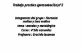 Trabajo practico (presentación)n°2/integrantes del grupo: Florencia Molina y Luna Melina/Tema: Metales y metalúrgicas/ 4to 2da Naturales.