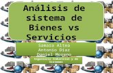 Analisis de sistemas de bienes vs servicios