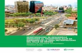 Oportunidades de Desarrollo Orientado al Transporte Bajo en Emisiones en la Zona Metropolitana del Valle de México