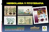 Herbolaria mexicana antecedentes i