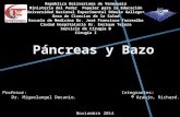 Pancreas y bazo. cirguia I