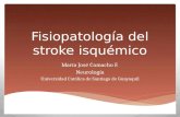 Fisiopatología del stroke isquémico