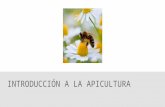 Introducción a la apicultura