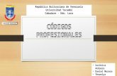 Códigos Profesionales