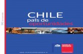 Chile país de oportunidades 2010