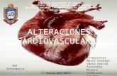 Patologias cardiovasculares