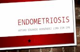 Endometriosis gineco ii