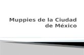 Mupis de la ciudad de México