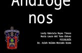 Andrógenos - FISIOLOGÍA