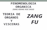 Fenomenología orgánica.