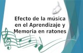 Efecto de la Música en el Aprendizaje y Memoria en ratones