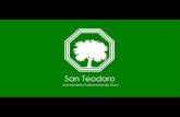 Proyecto San Teodoro