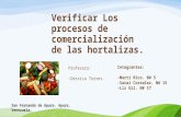 Procesos de Comercializacion de Las Hortalizas