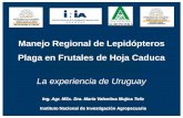María Valentina Mujica Teliz - “Manejo Regional de Lepidópteros Plaga en Frutales de Hoja Caduca” - Boas Práticas Agropecuárias e Produção Integrada - De 11 a 14 de novembro