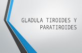 Gladula tiroides y paratiroides