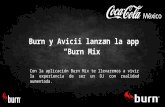 Nueva Aplicaci³n  burn + Avicii
