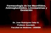 Farmacolog­a de Macr³lidos, Aminogluc³sidos, Lincosaminas y Gestaci³n