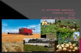 La actividad agricola